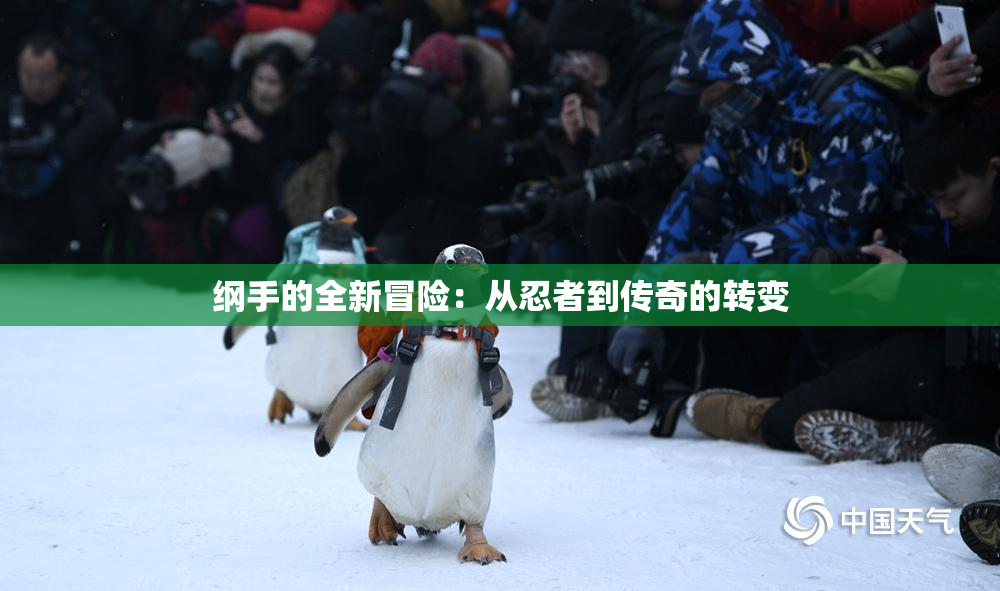 纲手的全新冒险：从忍者到传奇的转变