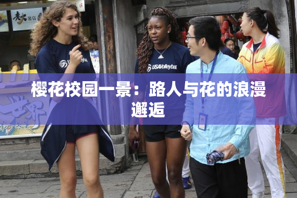 樱花校园一景：路人与花的浪漫邂逅