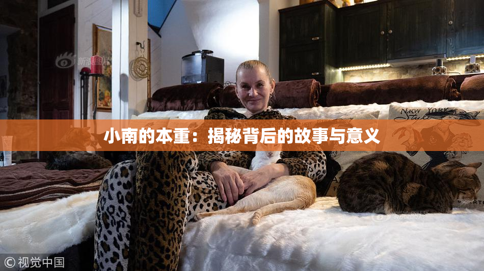 小南的本重：揭秘背后的故事与意义