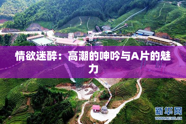情欲迷醉：高潮的呻吟与A片的魅力