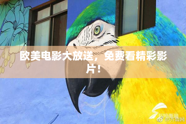欧美电影大放送，免费看精彩影片！