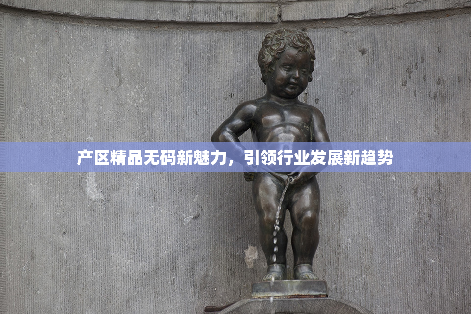 产区精品无码新魅力，引领行业发展新趋势