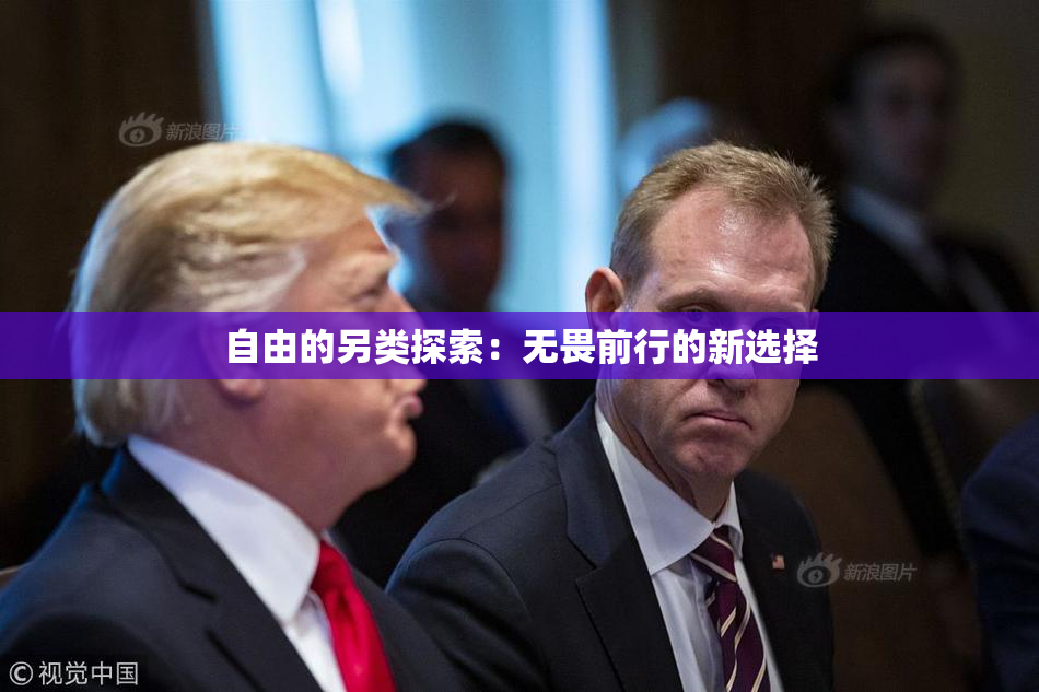 自由的另类探索：无畏前行的新选择