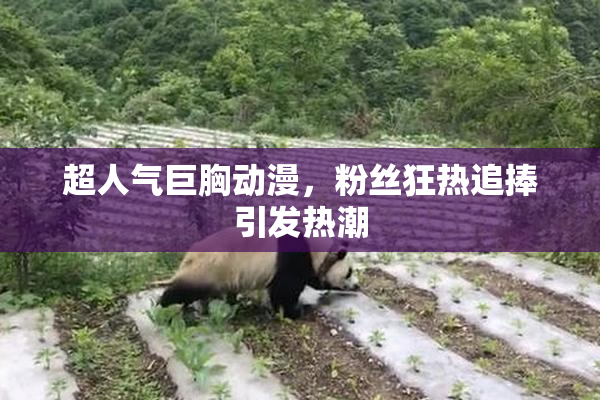 超人气巨胸动漫，粉丝狂热追捧引发热潮