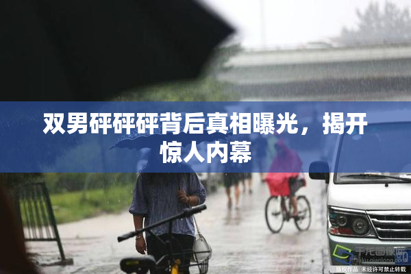 双男砰砰砰背后真相曝光，揭开惊人内幕