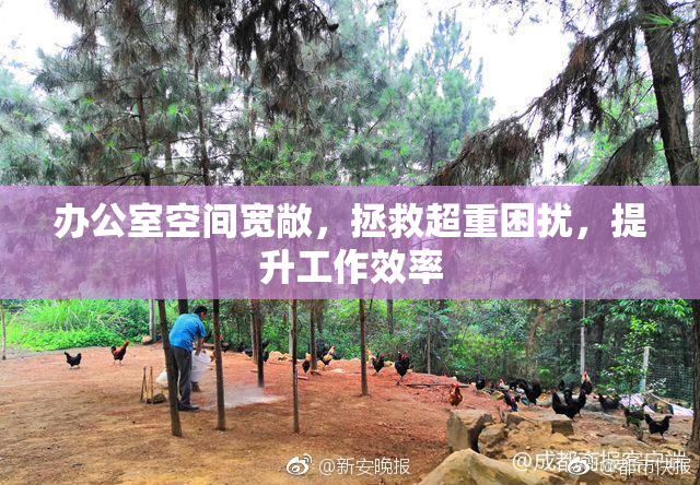 办公室空间宽敞，拯救超重困扰，提升工作效率