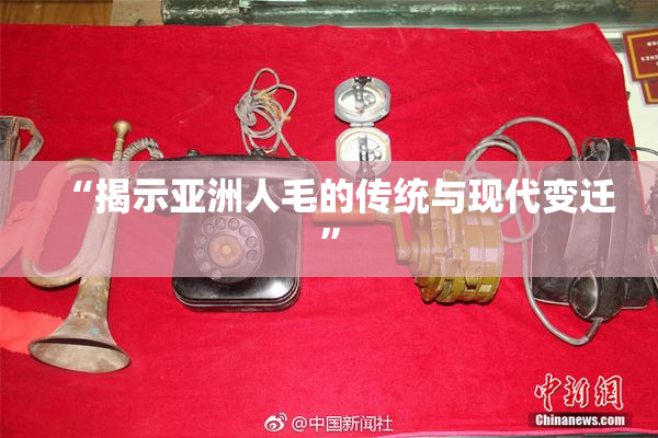 “揭示亚洲人毛的传统与现代变迁”