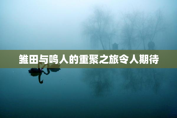 雏田与鸣人的重聚之旅令人期待