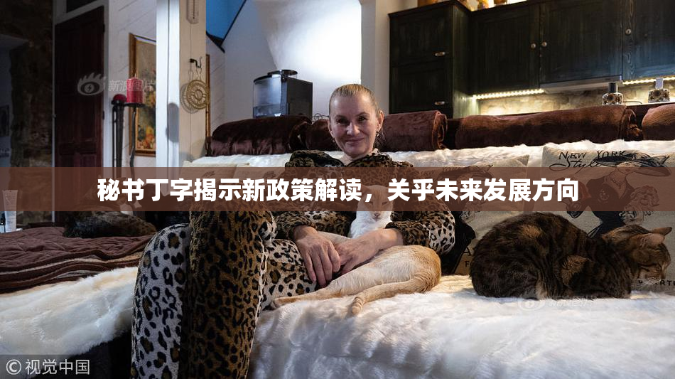 秘书丁字揭示新政策解读，关乎未来发展方向