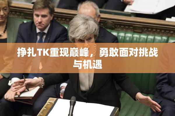 挣扎TK重现巅峰，勇敢面对挑战与机遇