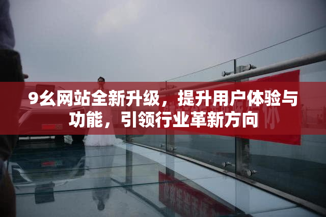 9幺网站全新升级，提升用户体验与功能，引领行业革新方向