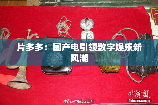 片多多：国产电引领数字娱乐新风潮
