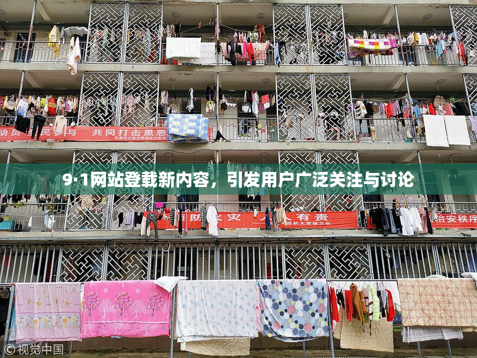 9·1网站登载新内容，引发用户广泛关注与讨论