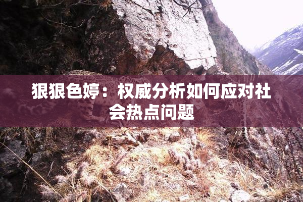 狠狠色婷：权威分析如何应对社会热点问题
