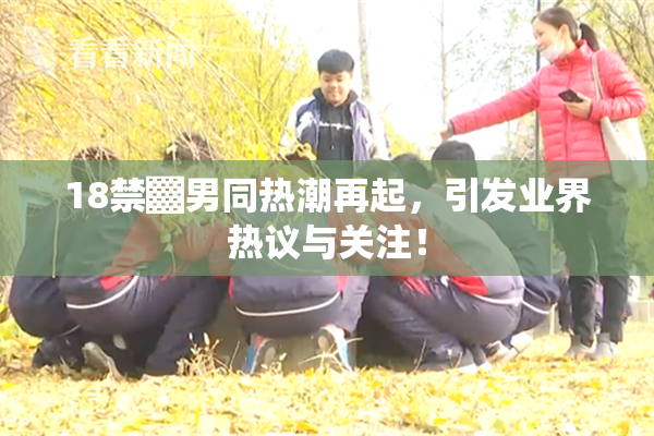 18禁▓男同热潮再起，引发业界热议与关注！