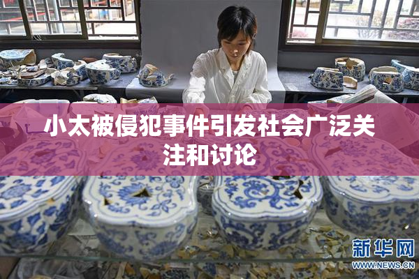 小太被侵犯事件引发社会广泛关注和讨论