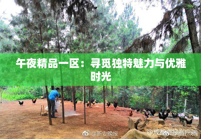 午夜精品一区：寻觅独特魅力与优雅时光