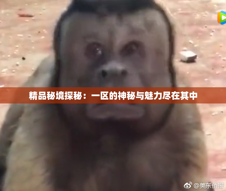 精品秘境探秘：一区的神秘与魅力尽在其中
