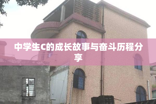 中学生C的成长故事与奋斗历程分享