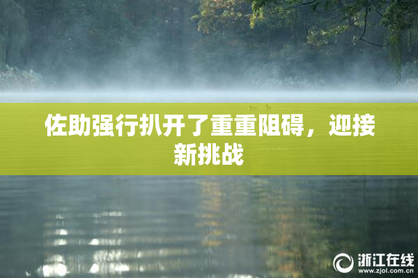 佐助强行扒开了重重阻碍，迎接新挑战