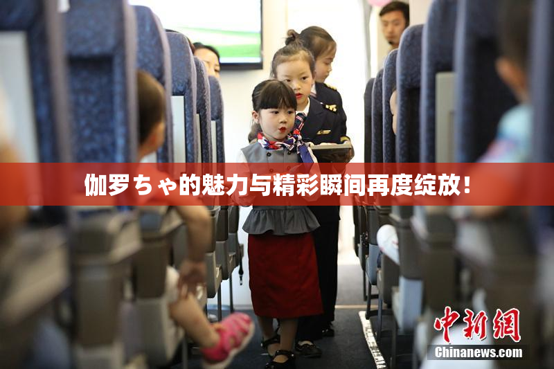 伽罗ちゃ的魅力与精彩瞬间再度绽放！