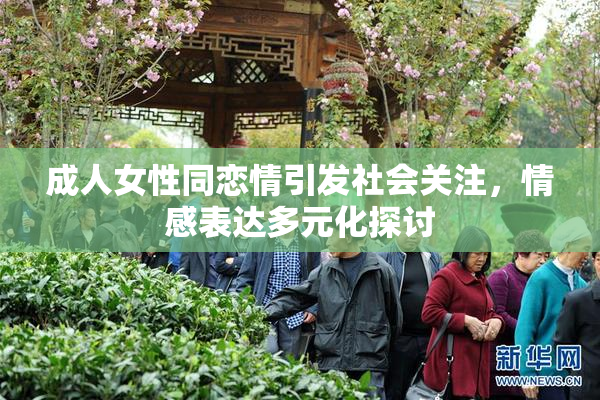 成人女性同恋情引发社会关注，情感表达多元化探讨