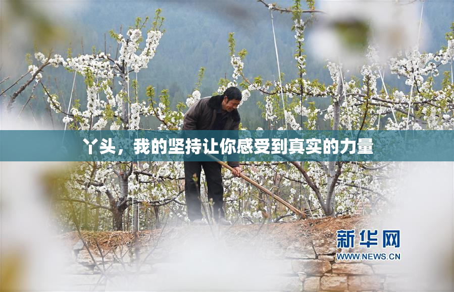 丫头，我的坚持让你感受到真实的力量