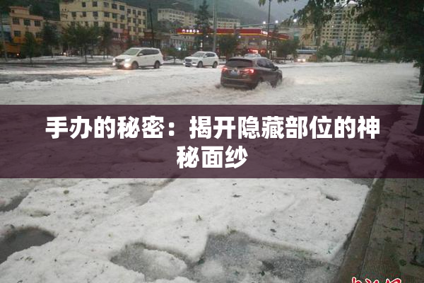 手办的秘密：揭开隐藏部位的神秘面纱