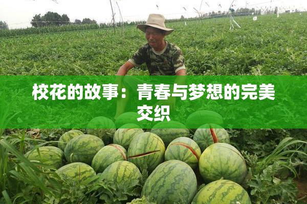 校花的故事：青春与梦想的完美交织