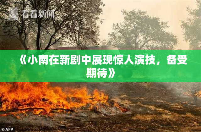 《小南在新剧中展现惊人演技，备受期待》