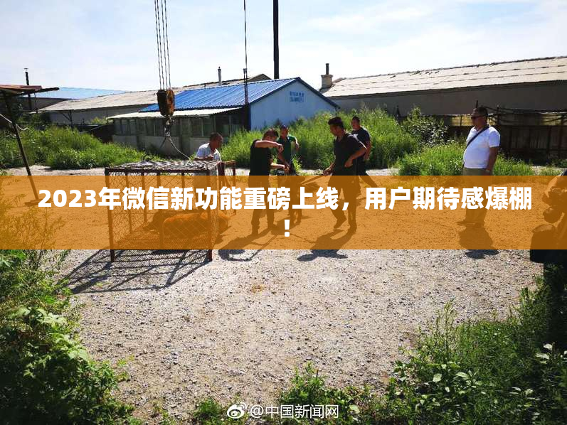 2023年微信新功能重磅上线，用户期待感爆棚！