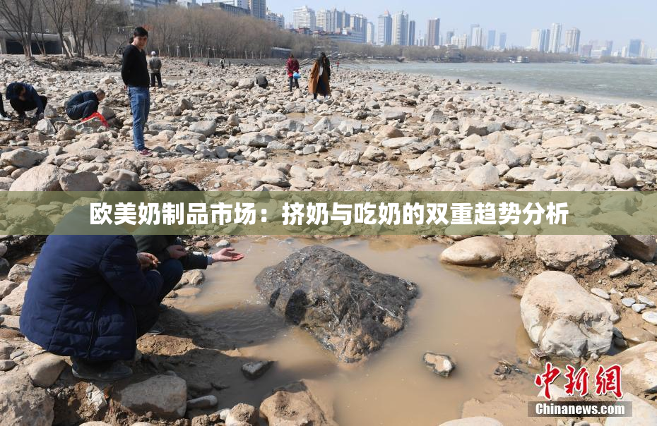欧美奶制品市场：挤奶与吃奶的双重趋势分析