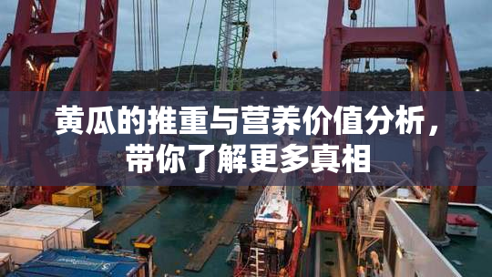 黄瓜的推重与营养价值分析，带你了解更多真相
