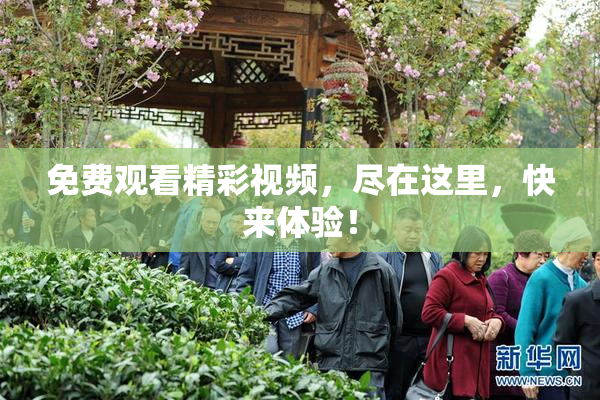 免费观看精彩视频，尽在这里，快来体验！