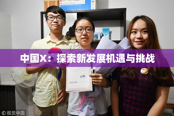 中国X：探索新发展机遇与挑战