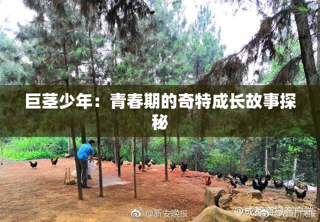 巨茎少年：青春期的奇特成长故事探秘