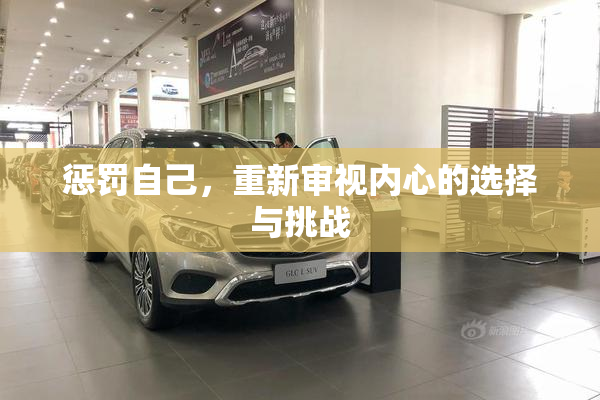惩罚自己，重新审视内心的选择与挑战