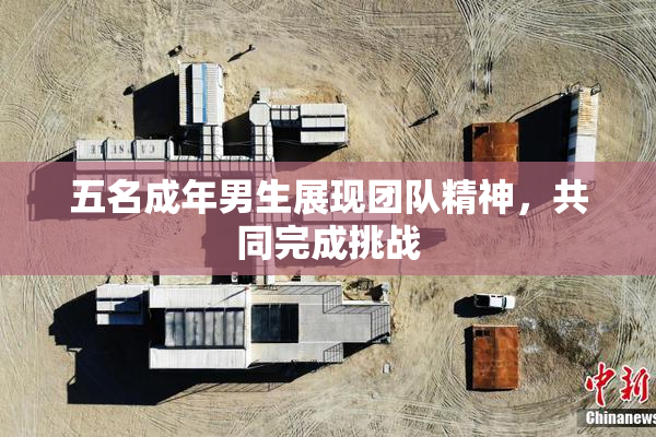 五名成年男生展现团队精神，共同完成挑战