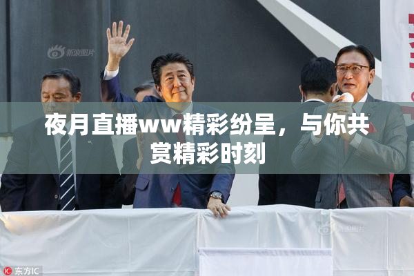 夜月直播ww精彩纷呈，与你共赏精彩时刻