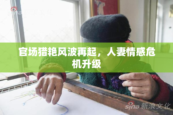 官场猎艳风波再起，人妻情感危机升级