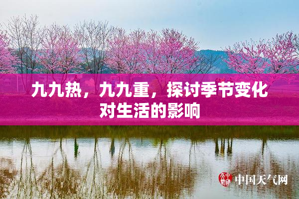 九九热，九九重，探讨季节变化对生活的影响