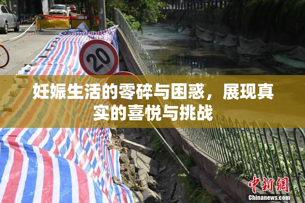 妊娠生活的零碎与困惑，展现真实的喜悦与挑战