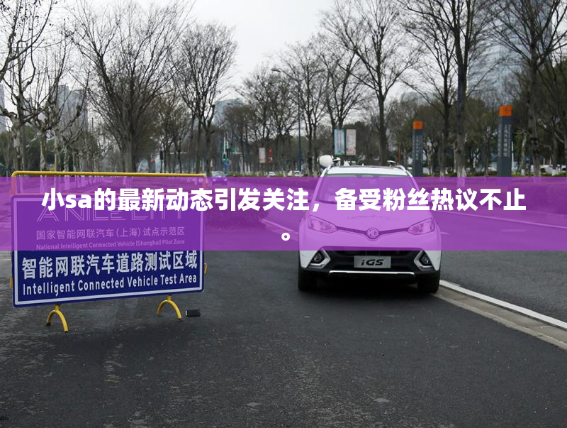 小sa的最新动态引发关注，备受粉丝热议不止。