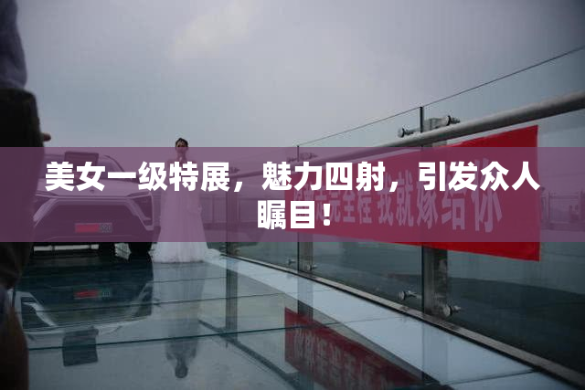 美女一级特展，魅力四射，引发众人瞩目！