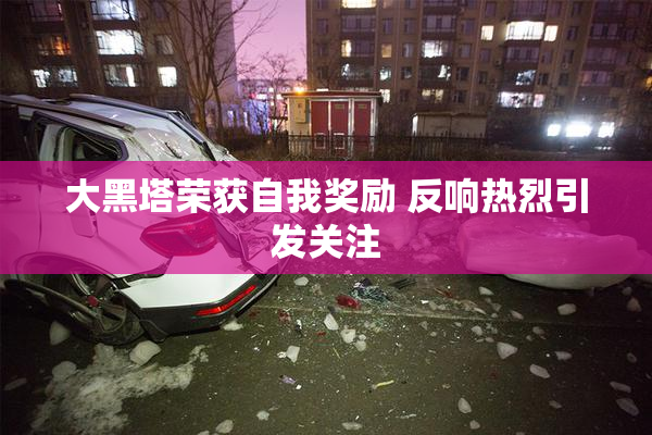 大黑塔荣获自我奖励 反响热烈引发关注