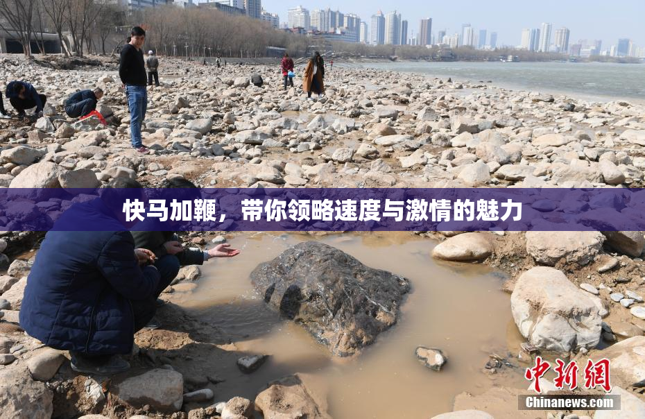 快马加鞭，带你领略速度与激情的魅力
