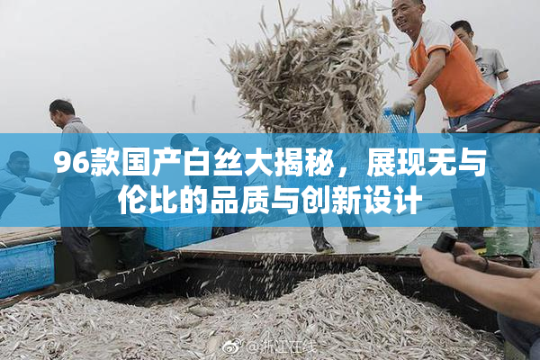 96款国产白丝大揭秘，展现无与伦比的品质与创新设计