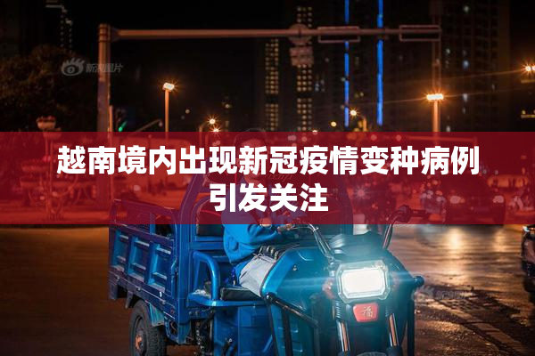 越南境内出现新冠疫情变种病例引发关注