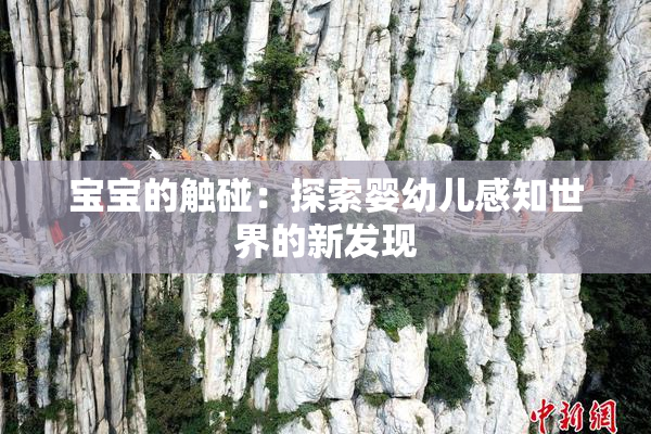 宝宝的触碰：探索婴幼儿感知世界的新发现