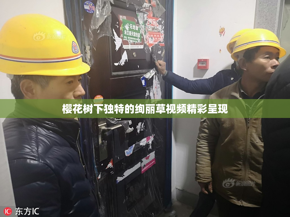 樱花树下独特的绚丽草视频精彩呈现